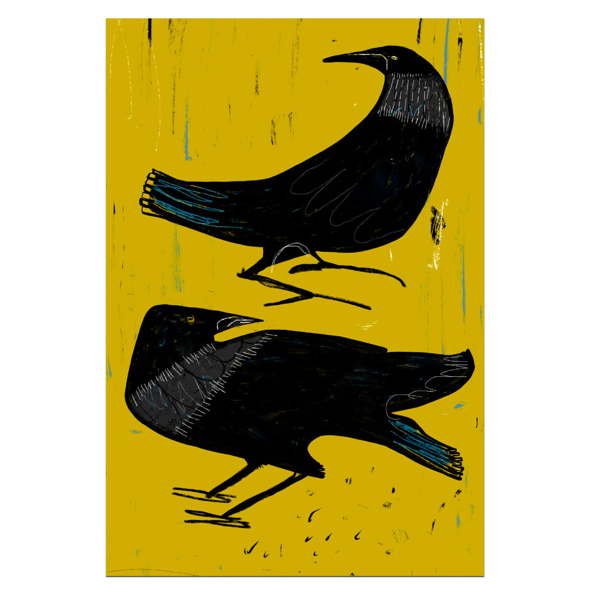 Set of 8 Birds Art Cards