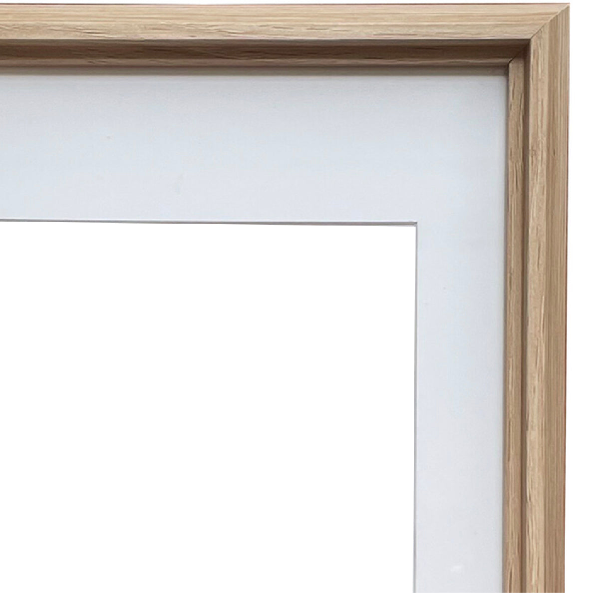 Arrowhead Houseplant Print