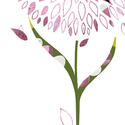 Allium Card