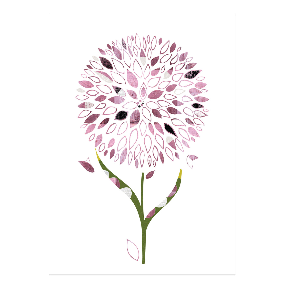 Allium Card