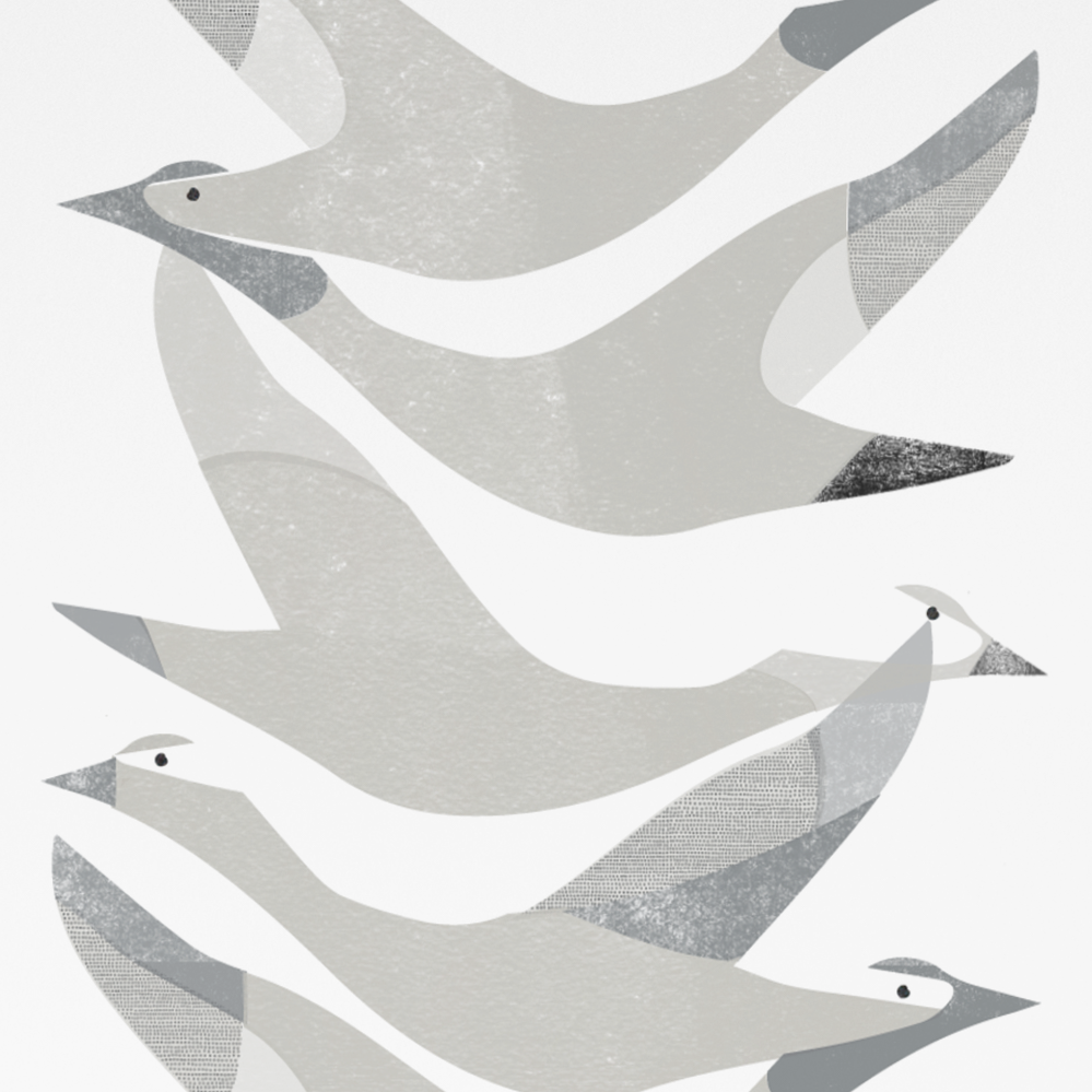Time to Fly Art Print
