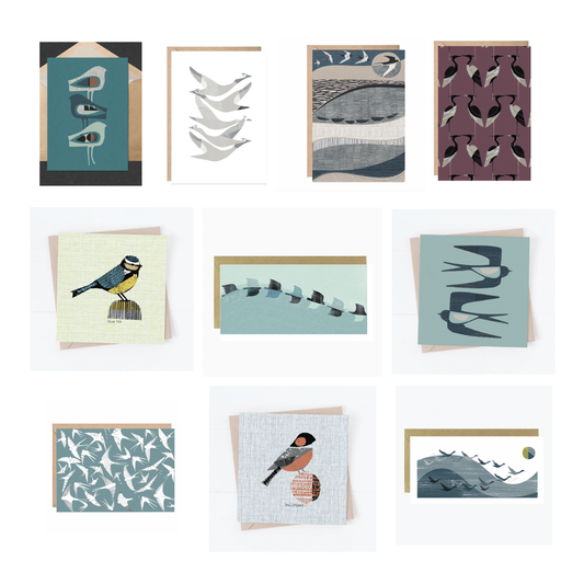 Birds Cards Box Set