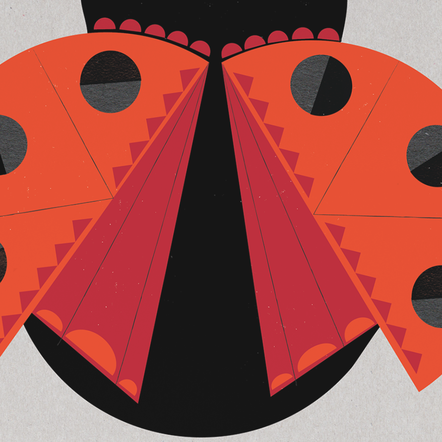 Clockleddy (Ladybird) Art Print
